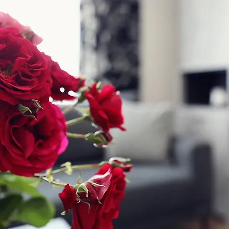 L.l Maison 2 *