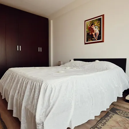 L.l Maison 2 Shkodër