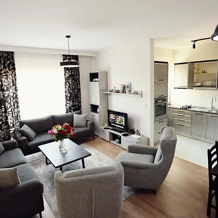 L.l Maison 2 Shkodër